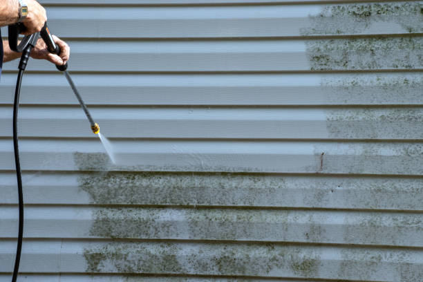 Best Storm Damage Siding Repair  in North Les, AK